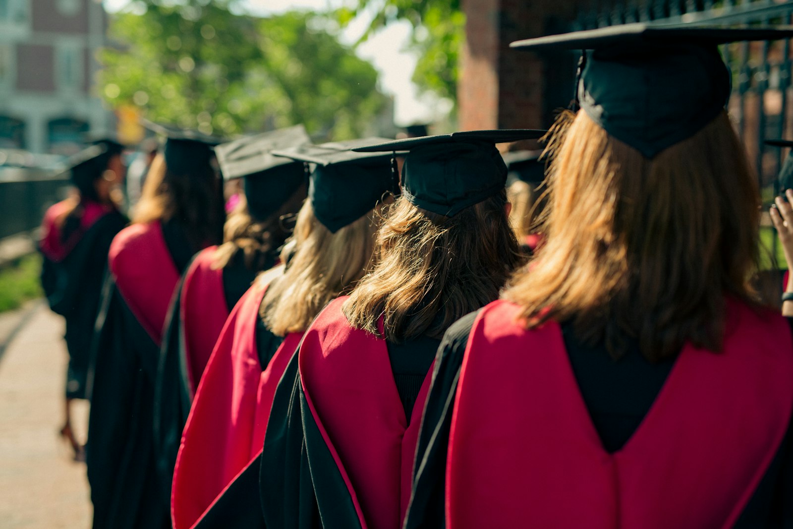 Fila de graduados de espaldas con toga negra, estola roja y birrete.